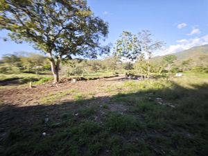 Foto 3 de Lotes en Sopetran Topografía Plana Vereda Tafetanes