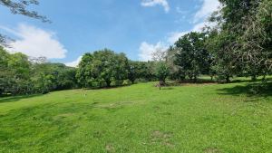 Foto 3 de Espectacular Lote en San Jerónimo Plano