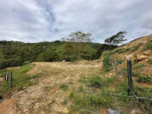 Foto 3 de Lotes en Barbosa Área 1000 M2 Topografía Plana Tendida