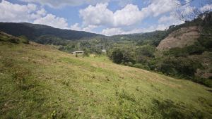 Foto 3 de Lote en San Rafael Vereda Jaguas