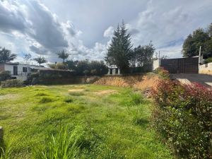 Foto 3 de Lote en rionegro vereda san luis