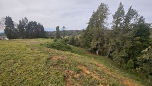Foto 3 de Lote de 4.200 M² en Venta en la Vereda San Isidro, Guarne