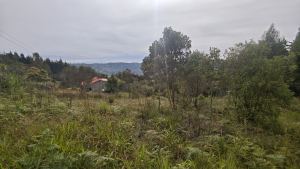 Foto 3 de Lote de 1.970 M² en Venta en la Vereda San Isidro, Guarne