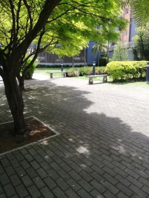 Foto 3 de Apartamento en Venta en Restrepo Naranjo, Sabaneta, 3 Habitaciones
