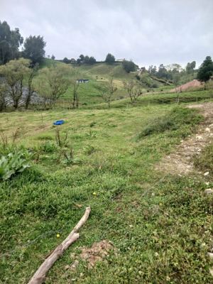 Foto 4 de Lote en Venta en San Pedro de los Milagros de 2600 M²