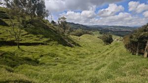 Foto 3 de Lote en Venta en Vereda Santa Barbara, San Pedro de los Milagros de 2730 M²