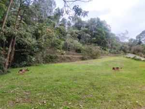 Foto 7 de Finca en Venta en la Catedral, Envigado de 26000 M²