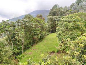 Foto 8 de Finca en Venta en la Catedral, Envigado de 26000 M²