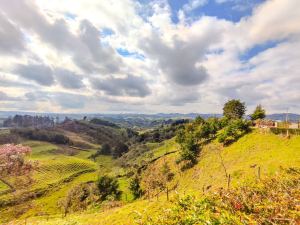Foto 5 de Finca en Venta en San Vicente de 44000 M²