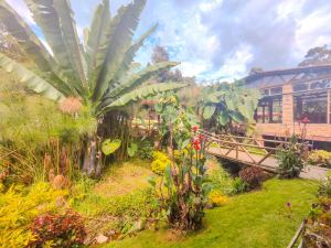 Foto 4 de Finca en Venta en San Pedro de los Milagros de 6400 M²
