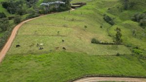 Foto 7 de Lotes en Venta en San Pedro de los Milagros
