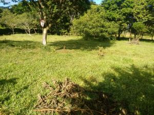Foto 5 de Lote en Venta Porce en Unidad Cerrada Plano