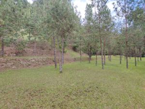 Foto 4 de Lote en Envigado Sector la Catedral