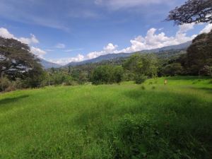 Foto 4 de Lote en Girardota vereda el totumo