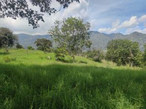 Foto 4 de Lote en Girardota Vereda el Totumo