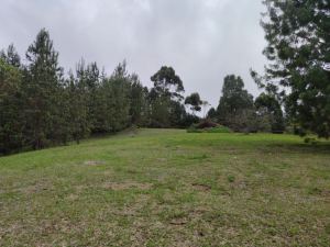 Foto 4 de Lote en Caldas Sector la Catedral