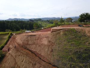 Foto 4 de Lote en el Peñol con Embalse