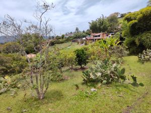 Foto 7 de Lote de 2.500 M² en Venta en Vereda la Clara, Guarne
