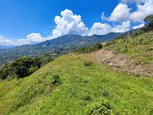 Foto 6 de Lote de 5.200 M² en Venta en el Limonar, Girardota - Lote a