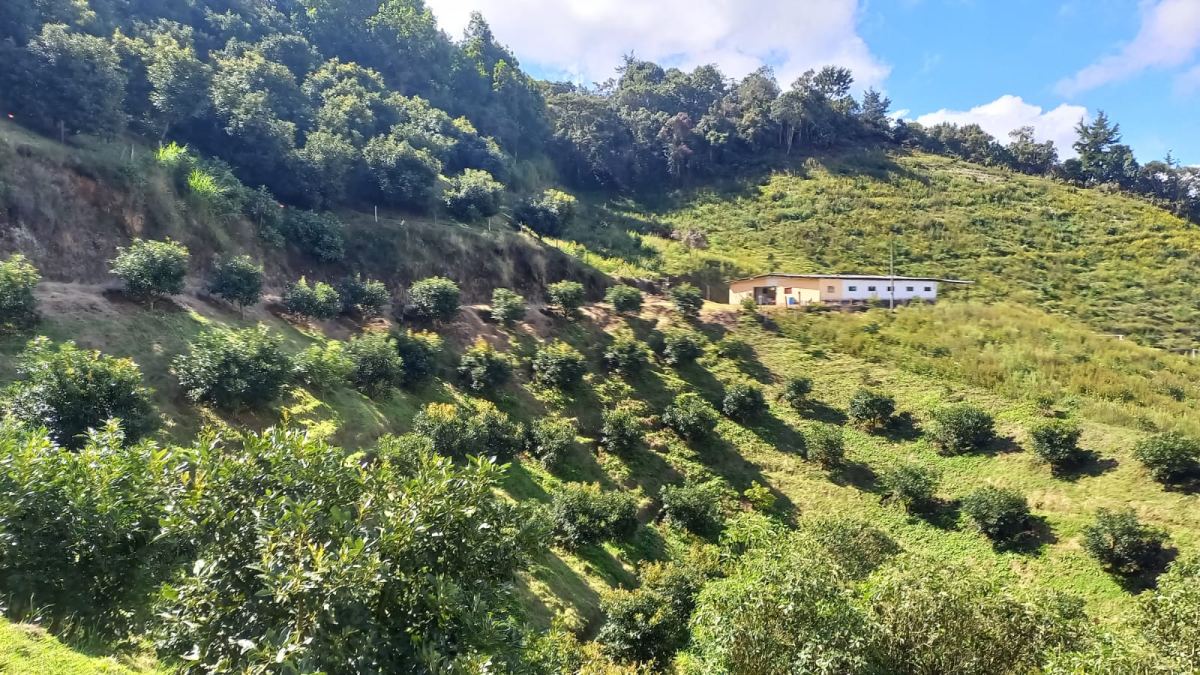 Lote en Sector Don Diego, El Retiro, Antioquia