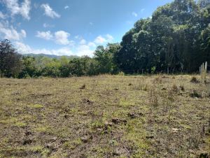 Foto 2 de Lote En San Pedro De Los Milagros Vereda Cerezales
