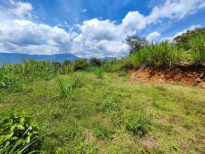 Foto 4 de Lote con Caballerizas en Copacabana Vereda el Zarzal