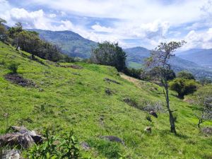 Foto 4 de Lote en Copacabana Vereda el Zarzal