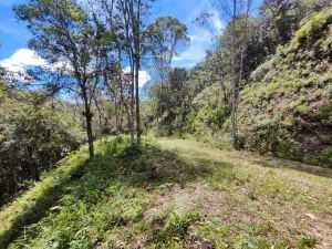 Foto 4 de Lote en el Retiro Para Parcelar a 1 Minuto de la vía Principal