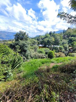 Foto 3 de Lote en Girardota Vereda el Totumo