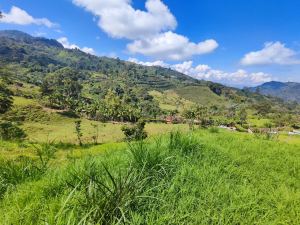 Foto 4 de Lote en Jardín Antioquia