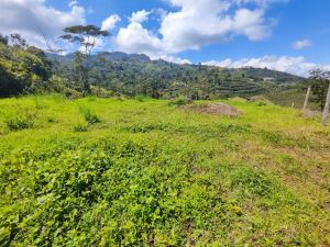Foto 4 de Lote en Jardín Antioquia