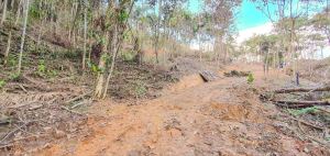 Foto 4 de Lote en Cocorná Cerca a Charcos