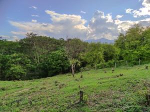 Foto 4 de Lote en Sopetran en Parcelación de Oportunidad