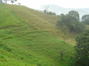 Foto 4 de Finca en Girardota Vereda la Macarena