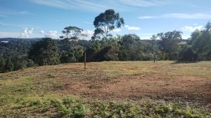 Foto 4 de Lote en Guarne Topografía Plana Tendida San Isidro