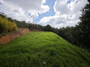 Foto 4 de Lote en San Pedro de los Milagros