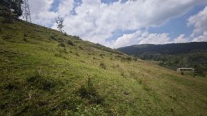 Foto 4 de Lote en San Rafael Vereda Jaguas
