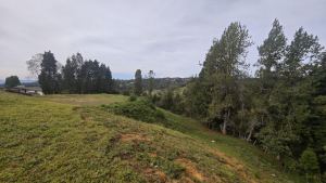 Foto 4 de Lote de 4.200 M² en Venta en la Vereda San Isidro, Guarne