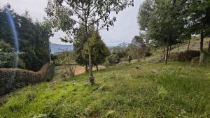 Foto 3 de Lote de 2.095 M² en Venta en la Vereda San Isidro, Guarne