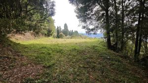 Foto 1 de Lote en Guarne Vereda San Isidro