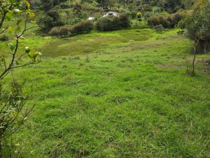 Foto 4 de Lote en Venta en Alto de Matasano, Barbosa de 6899 M²