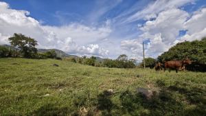 Foto 4 de Lote en Venta Copacabana el Noral