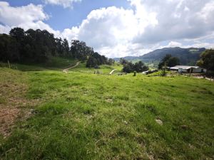 Foto 2 de Lote en Venta en Vereda Santa Barbara, San Pedro de los Milagros de 2843 M²
