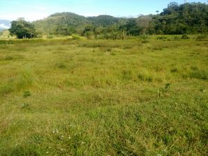 Foto 6 de Lote en Venta Porce en Unidad Cerrada Plano