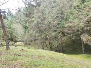 Foto 5 de Lote en Venta en la Catedral, Envigado de 12000 M²