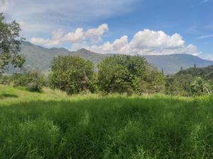 Foto 5 de Lote en Girardota Vereda el Totumo