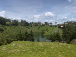 Foto 5 de Lote de 3.353 M² en Venta en Vereda Uvital, el Peñol
