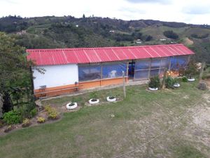 Foto 5 de Finca en Venta en Ferrer, San Vicente de 23300 M²
