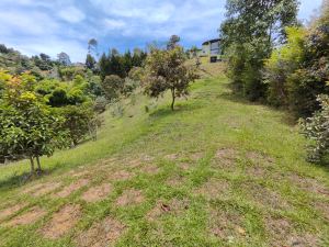 Foto 8 de Lote de 2.500 M² en Venta en Vereda la Clara, Guarne