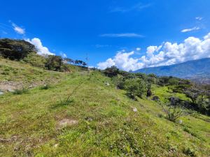 Foto 7 de Lote de 5.200 M² en Venta en el Limonar, Girardota - Lote a